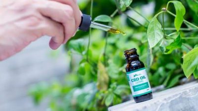 Hassle-Free Method to Procure MMJ Card in Florida