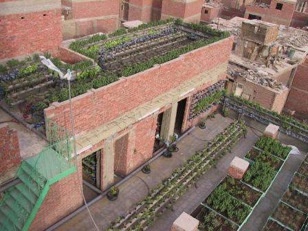 cairo-rooftop-garden