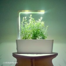 “Smart herb garden” by Click & Grow will make you dumb