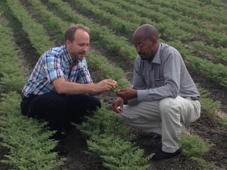 NuCicer's Nuchi chickpeas combine wild chickpea genetics with AI-guided breeding to deliver 50% more protein, less fat, and improved sustainability for the future of food.