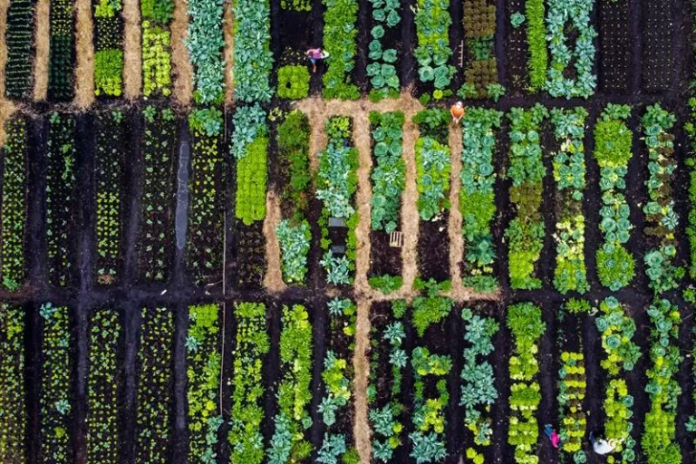 Do you have the greenest city? Apply for this global award