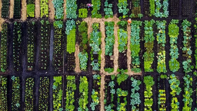 Do you have the greenest city? Apply for this global award