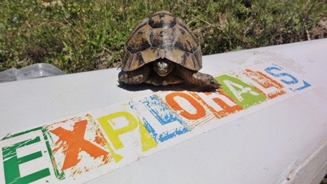 Medjerda Exploralis Tunisia