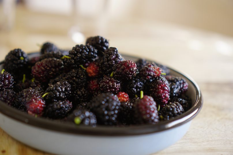 Stuffed Mulberry Leaves With Chicken Recipe Green Prophet