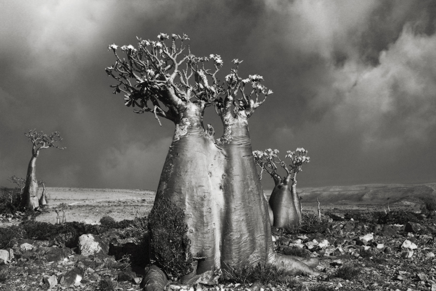 Beth Moon Portrait of Time