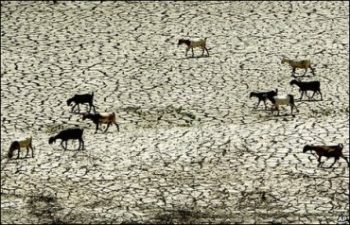 Cyprus gets new desalination plant with Mekorot Israel’s know-how