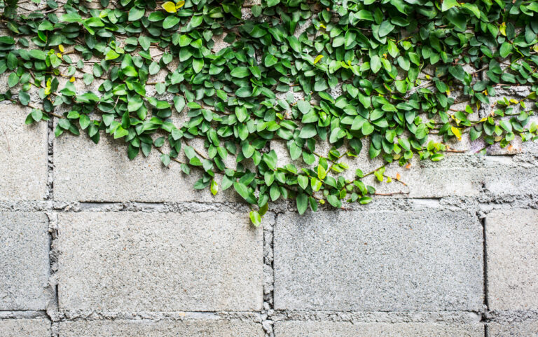 Eco-friendly concrete now mandatory in Dubai