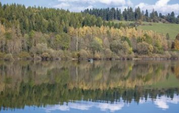 Israel’s biggest green group plants a project in support of Syrian refugees