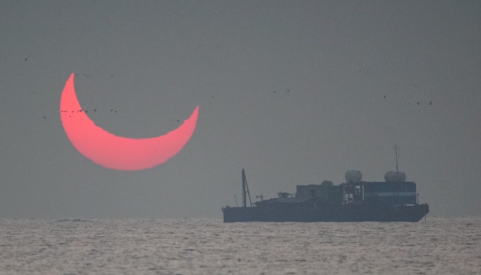 Elias Chasiotis sun sickle qatar