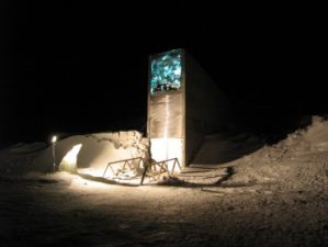 The war that forces a doomsday seed vault withdrawal