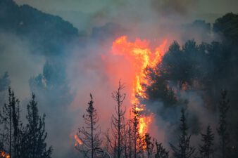Battling the Blaze: Israel’s Wildfire Response