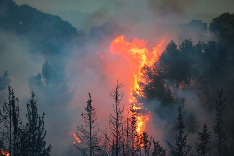 Battling the Blaze: Israel’s Wildfire Response