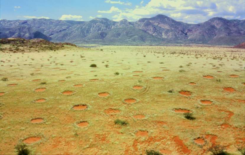Fairy circles in Namibia's Marienfluss valley photo by Thorsten Becker