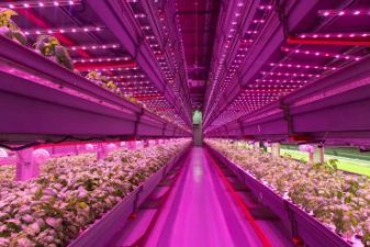 New advances on making aquaponics a valid business