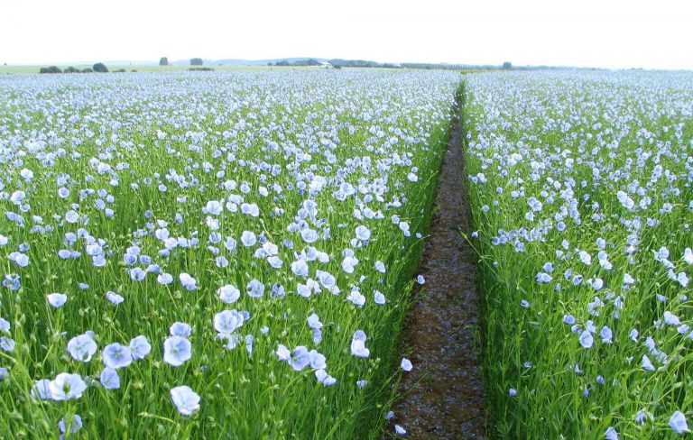 Why Your Business Should Join The Paperless Movement?