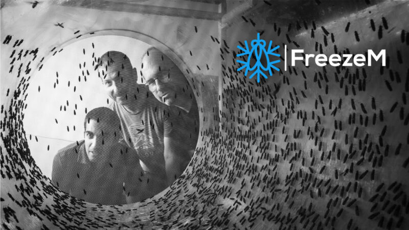 Startup FreezeM turns food waste into insect protein for fish and chicken