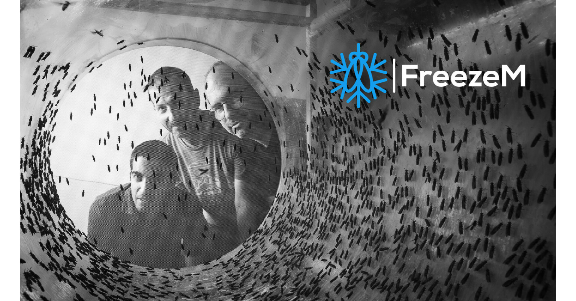 FreezeM, Israel, startup, insect farming, black soldier fly, larvae, animal feed, alternative protein, sustainable agriculturePauseM, FreezeM, suspended animation, black soldier fly larvae, paused neonates, shipping insects, extended shelf life, Weizmann Institute, sustainable feed innovation black soldier fly, larvae, insect protein, aquaculture, poultry, livestock, insect oil, insect fertilizer, organic waste recycling, sustainable animal feed organic waste, food waste, agricultural byproducts, recycling, insect farming, circular economy, sustainable protein, waste to feed Yuval Gilad, Idan Alyagor, Yoav Politi, FreezeM founders, Weizmann Institute, molecular genetics, developmental biology, entomology, Israel startup FreezeM funding, Series A, USD 14.2 million, European Innovation Council, EIC Fund, investment, insect protein industry, commercialization, breeding hubs insect protein feed, sustainable animal feed, fish farming, poultry feed, livestock nutrition, soy alternatives, corn alternatives, nutrient deficiencies, Family Friendly Farms alternative protein, insect protein companies, Flying Spark, Hargol, Aspire Food Group, Ynsect, Innovafeed, Protix, Entocycle, Beta Hatch, Hexafly, Entobel, Insectta, AgriProtein, MealFood Europe, Packaged Feeds, IKEA Space10