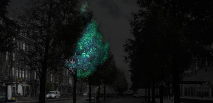 Glowing-Tree-Urban-setting-Roosegaarde.jpg