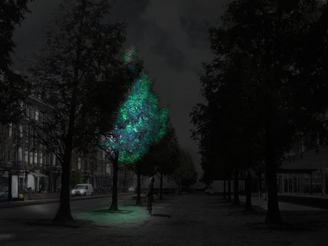 Glowing-Tree-Urban-setting-Roosegaarde