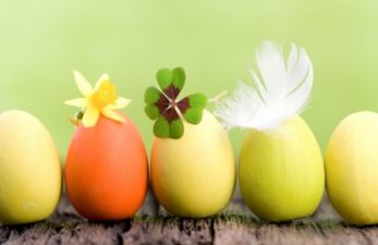 Holy Green Monday for Lent! A planet-friendly Cyprus tradition