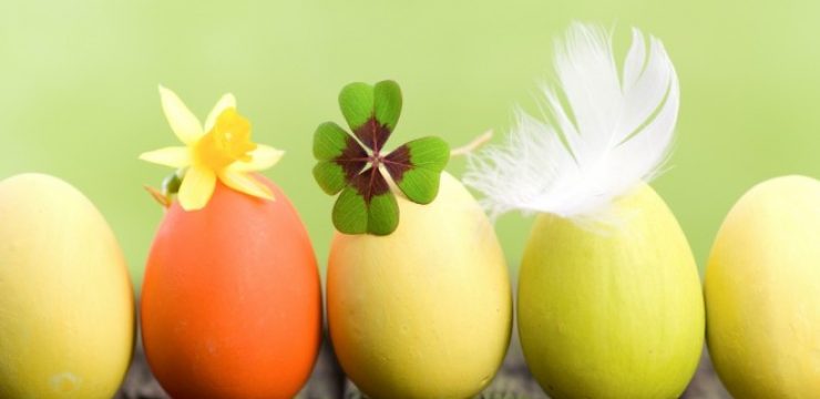 Green-Monday-Kicks-Off-Middle-East-Easter.jpg