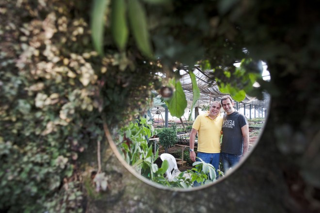 Green-studios-beirut