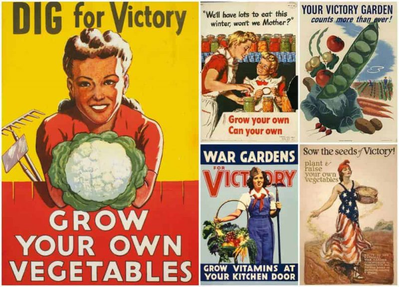 Download the Victory Garden Handbook, circa 1943 - Green Prophet