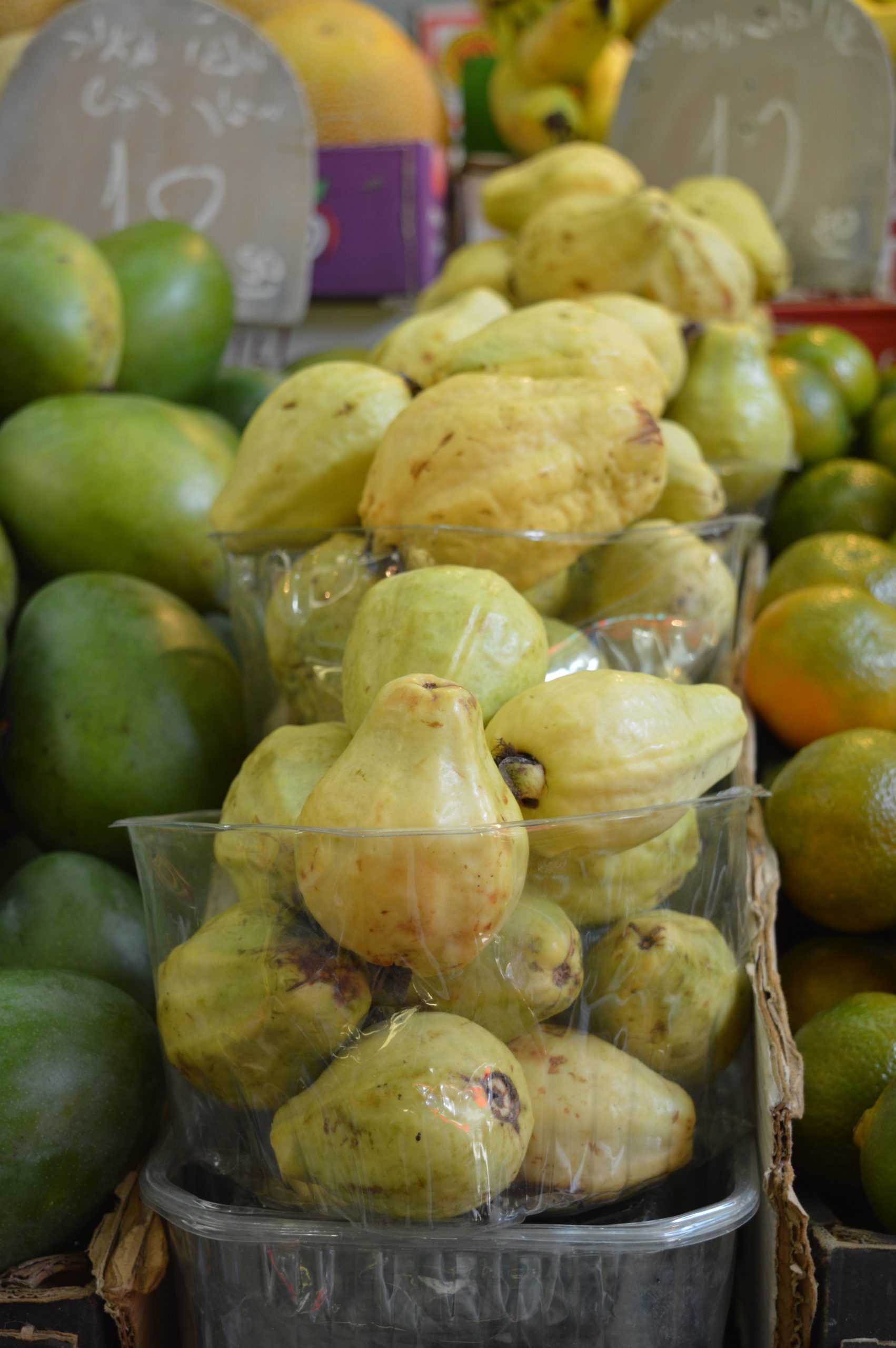 guavas-israel-november