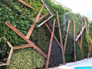 Cairo is growing green with living walls on the up!