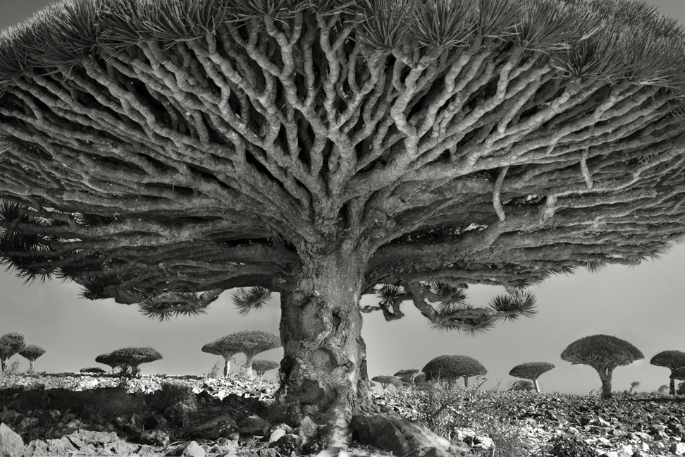 Beth Moon Portrait of Time