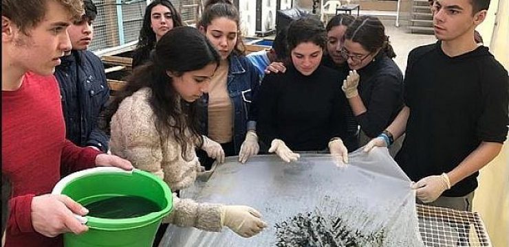 High-school-students-producing-spirulina.jpg
