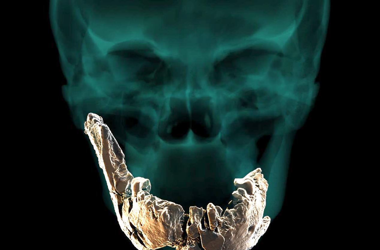 rama homo sapien photo