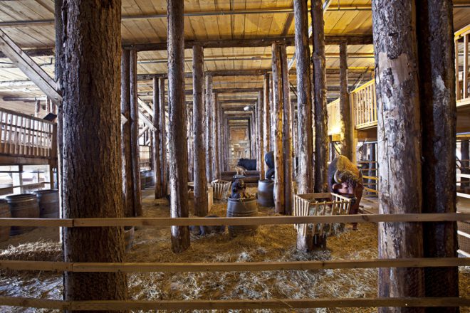 image modern noah's ark