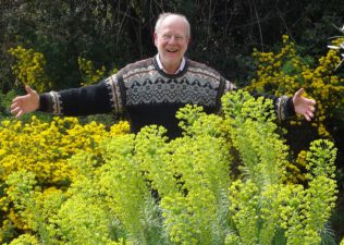 A guide to rewilding your cities