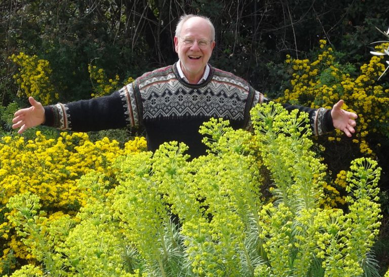 A guide to rewilding your cities