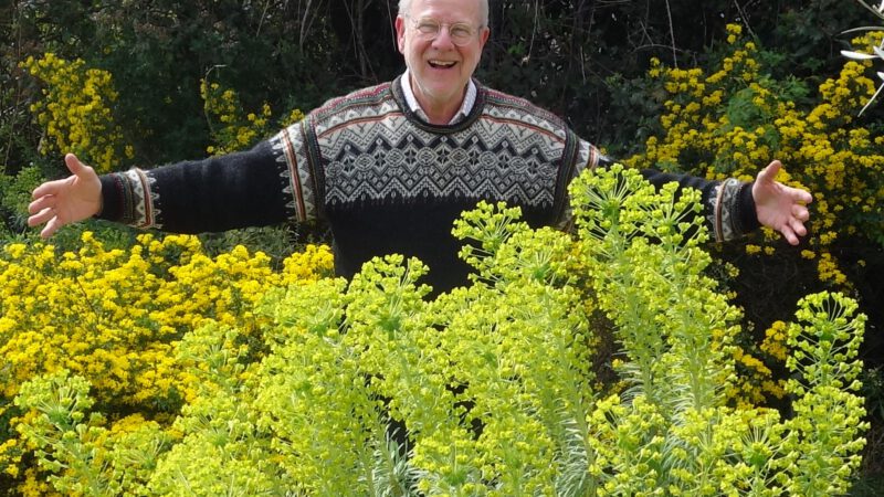 A guide to rewilding your cities