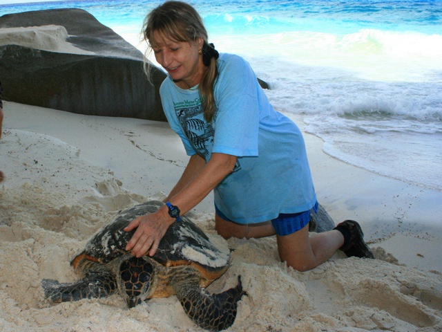 Jeanne Mortimer with a sea turtle