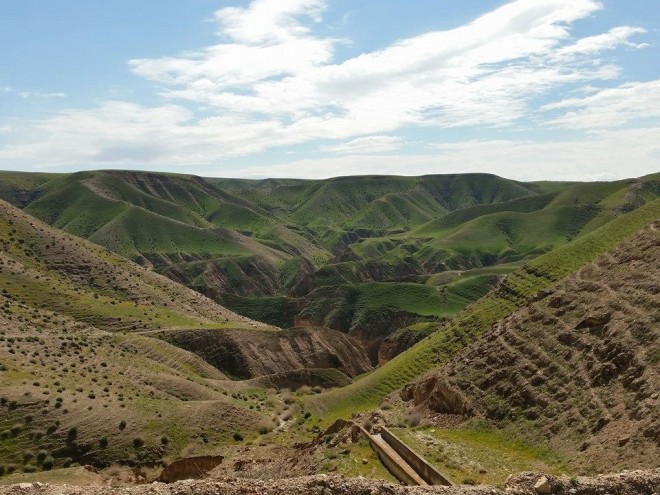 Israel's winter storms turn deserts green