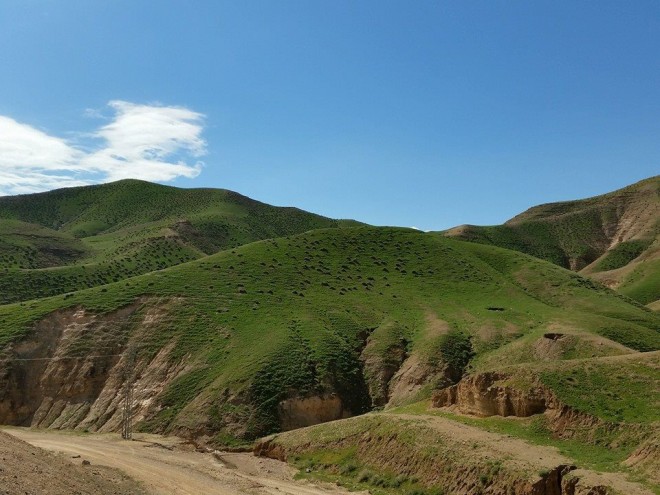 Israel's winter storms turn deserts green