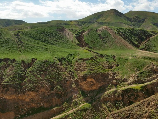 Israel's winter storms turn deserts green