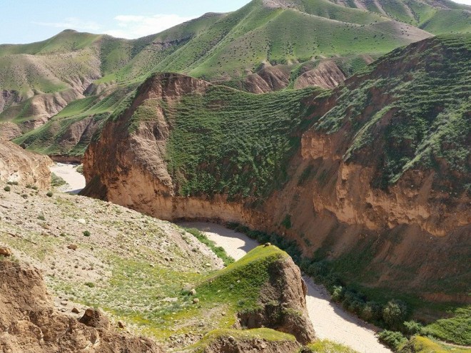 Israel's winter storms turn deserts green