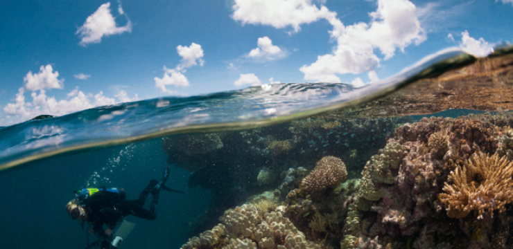 Khaled-bin-Sultan-Living-Oceans-Foundation-french-polynesia-coral-reefs-3.png