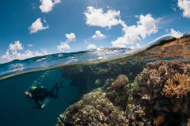 French Polynesia coral reefs Khalid bin sultan