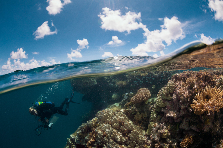 73 scientists study French Polynesia’s coral reefs – dive into what they find