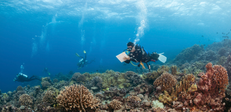 Khaled-bin-Sultan-Living-Oceans-Foundation-french-polynesia-coral-reefs.png