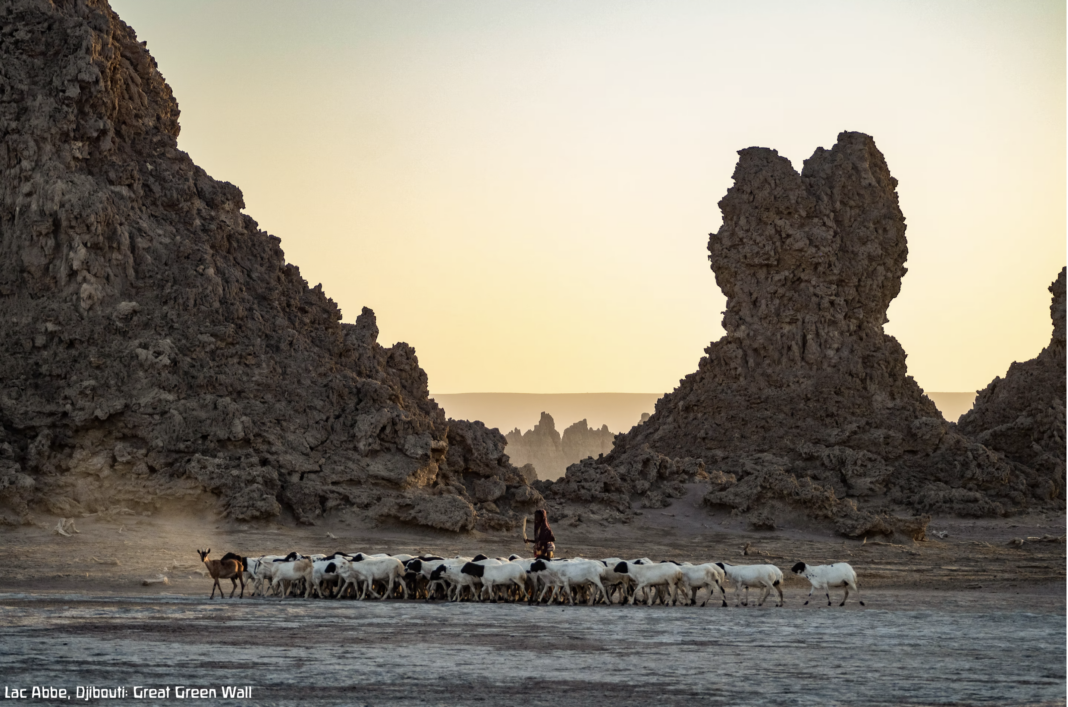 Africa’s Great Green Wall works!