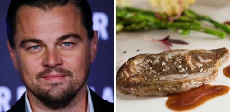 Leonardo-dicaprio-meatless-meat-lab-Aleph-Farms.png