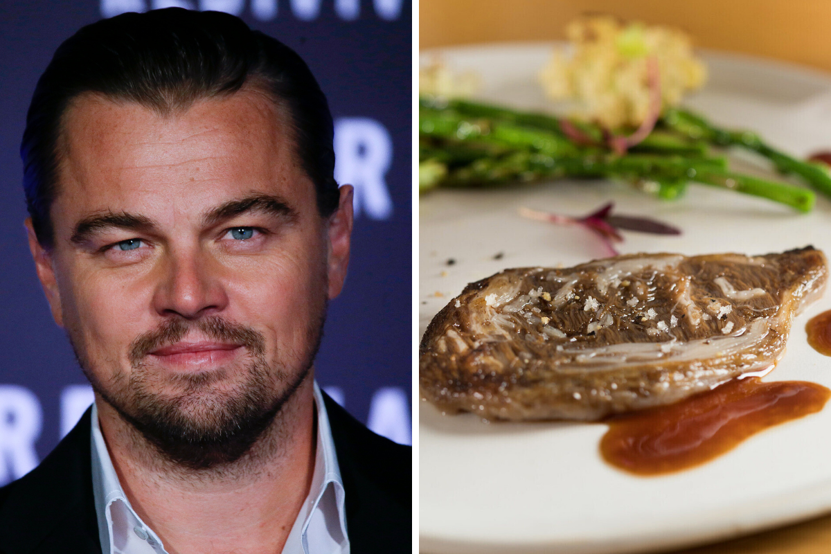 Leonardo Dicaprio, meatless meat, aleph farms, mosa meat, investment