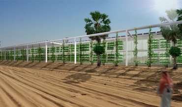 OAXIS: solar-powered hydroponic food belt proposed for the Arabian Peninsula