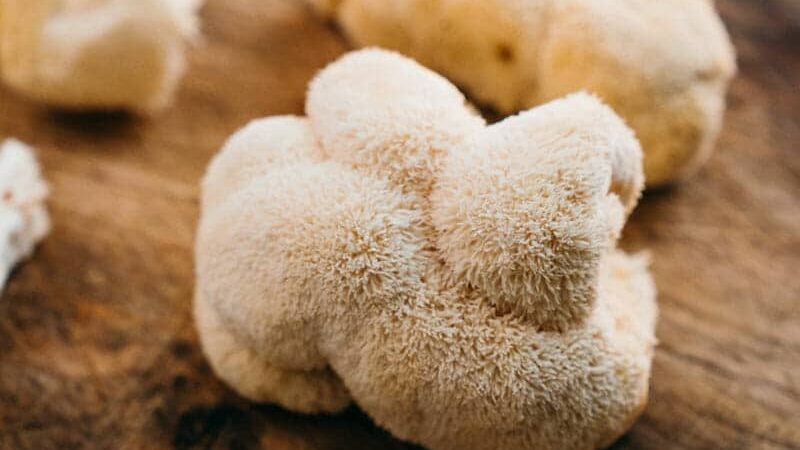Lion’s Mane Mushroom Recipe